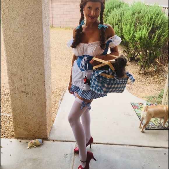 ‼️SOLD‼️Adult Dorothy sexy costume‼️ - Picture 1 of 5
